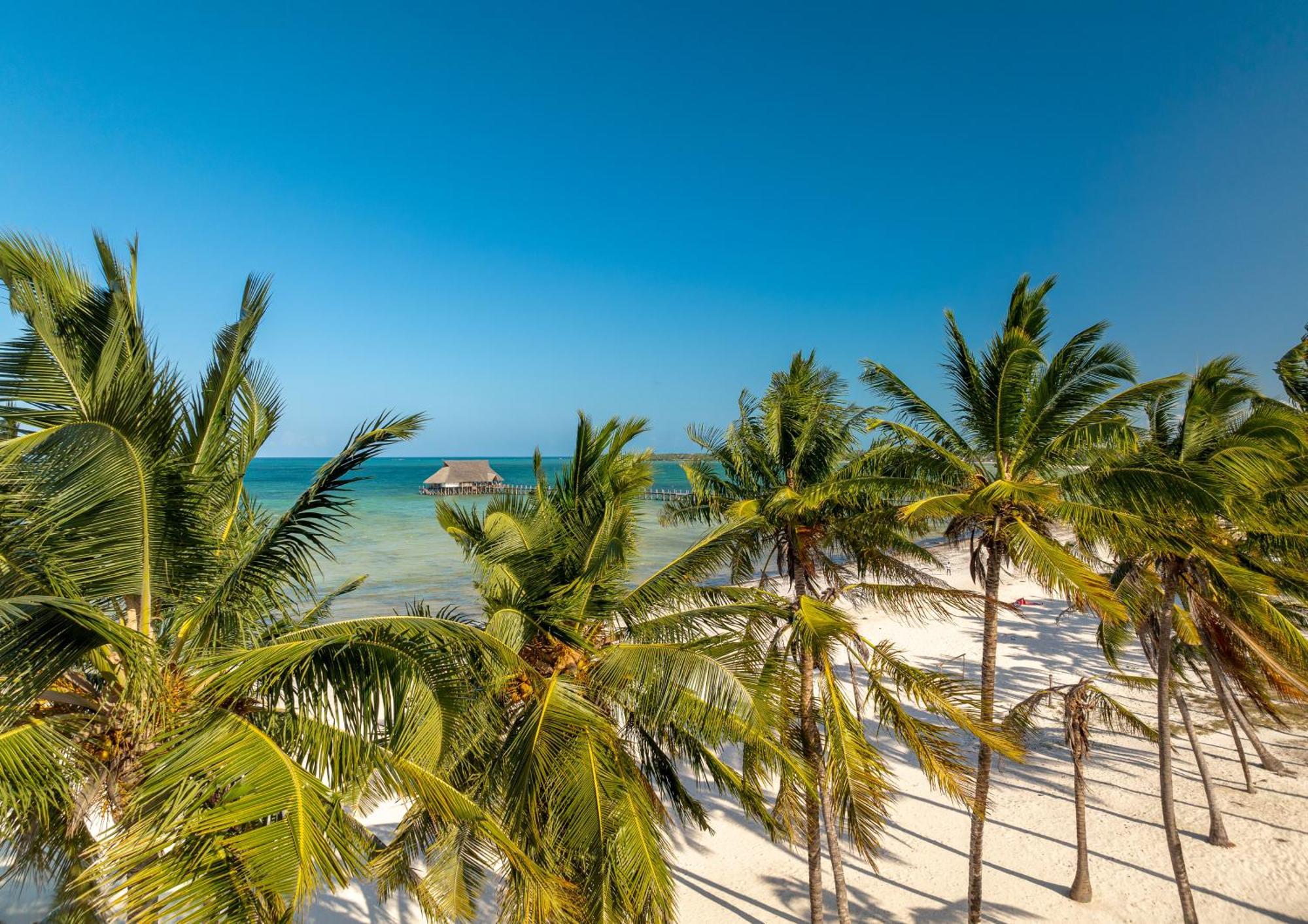 Karibu Beach Resort Pongwe Zewnętrze zdjęcie